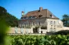 Castel de Très Girard - Teritoria - Hotel vacanze e weekend a Morey-Saint-Denis