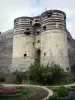 Анжер - Башни феодального замка (средневековая крепость, дом музея гобелена) и сад (клумбы)