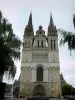 Анжер - Фасад собора Сен-Морис и ветки деревьев