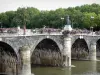 Анжер - Верденский мост со статуей Николя де Борепа, фонарных столбов и цветов, река Мэн и деревья