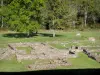Археологические раскопки соляных фонтанов