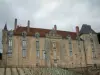 Замок Вендевр-сюр-Барс