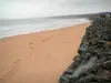 Приземление пляжей