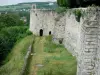Шато-Тьерри - Бастионы старого замка