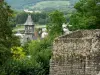Шато-Тьерри - Экскурсия по старому замку с видом на деревья, шпиль ратуши и река Марна (долина Марна)