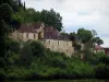 利默伊 - 中世纪村庄（中世纪城市），树和多云天空的议院，在Périgord