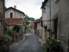 利默伊 - Périgord的中世纪村​​庄（中世纪城市）及其房屋的花街（鲜花）