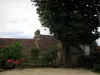 利默伊 - Périgord的中世纪村​​庄（中世纪城市）的树，长凳，灌木和房子