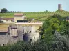 城堡Guilleragues