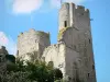 布尔邦拉尔尚博尔 - 波旁公爵（Bourbon-l'Archambault城堡）中世纪堡垒的遗迹;在Bocage bourbonnais