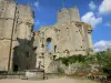布尔邦拉尔尚博尔 - 波旁公爵（Bourbon-l'Archambault城堡）中世纪堡垒的遗迹