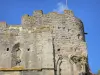 布尔邦拉尔尚博尔 - 波旁公爵（Bourbon-l'Archambault城堡）的中世纪堡垒的细节