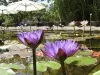 水庭園 - 観光、ヴァカンス、週末のガイドのロット・エ・ガロンヌ県