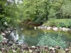 源头的花卉公园 - Loiret和树木边缘的水源