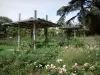 源头的花卉公园 - 镜子玫瑰园：玫瑰丛，藤架和树木