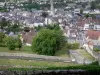 Argenton-sur-Creuse - Von der Terrasse der Kapelle Bonne-Dame aus, Blick auf den Glockenturm der Kirche Saint-Sauveur und die Häuser der Altstadt unterhalb