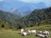 Ariège Landschaften