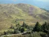 The Auvergne Volcanoes Regional Nature Park - Tourism, holidays & weekends guide in Auvergne-Rhône-Alps