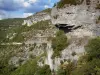 Aveyron gorges - Rock walls (limestone cliffs) and gorge road