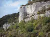Aveyron gorges - Limestone cliff (rock wall), trees and shrubs 