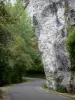 Aveyron gorges - Limestone cliffs (rock walls) and trees lining the gorge road