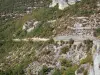 Aveyron gorges - Rock and vegetation