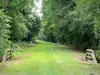 Axe vert, wandel- recreatiepad van Thiérache