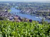 Le belvédère de la côte Saint-Jacques - Guide tourisme, vacances & week-end dans l'Yonne