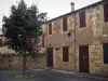 Bergerac - Arbre et maisons de la vieille ville, dans la vallée de la Dordogne