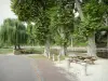 Bèze - Tavoli da picnic sotto gli alberi, sulle rive del fiume Bèze