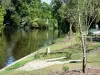 Bordeaux - Pièce d'eau du jardin public entourée d'arbres