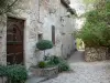 Bruniquel - Paved lane lined with stone houses 