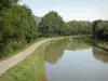 Burgund-Kanal - Treidelpfad geeignet für Spaziergänge entlang des Kanals
