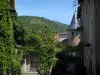 Cahors - Vegetation and houses of the old town, in the Quercy