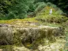 Cascata di Étufs - Cascata pietrificante e dintorni, in un verde, sulla città Rouvres-sur-Aube