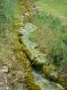 Cascata di Étufs - Flusso di vegetazione con bordi in città Rouvres-sur-Aube