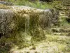 Cascata di Étufs - Sito Mosses di cascata pietrificante, in città Rouvres-sur-Aube