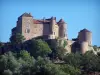 Castello di Berzé-le-Châtel - Fortezza medievale (castello) nel Mâconnais