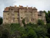 Castello di Boussac - Facciata del castello, arbusti e alberi