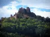 Castello di Couzan