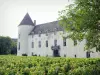 Castello di Savigny-lès-Beaune - Guida turismo, vacanze e weekend nella Côte-d'Or
