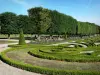 Champs-sur-Marne城堡 - 城堡公园：刺绣的花坛和法国花园的鲜花，以及一排排的树木