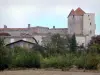Le château de Gramont - Guide tourisme, vacances & week-end dans le Tarn-et-Garonne