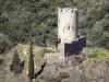 Les châteaux de Lastours - Guide tourisme, vacances & week-end dans l'Aude