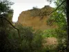 Colorado provençal - Arbres et roche (anciennes carrières d'ocre de Rustrel)