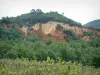 Colorado provençal - Vignes, herbage, arbres avec falaises d'ocre et cheminées des fées en arrière-plan (anciennes carrières d'ocre de Rustrel)