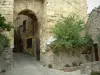 Cordes-sur-Ciel - Portal Peint (befestigtes Tor) das das Geschichts- und Kunstmuseum Charles-Portal birgt, Blumen und Sträucher