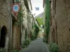 Cordes-sur-Ciel - Gepflasterte Gasse gesäumt von Häusern aus Stein die mit Pflanzen geschmückt sind