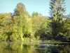 Druyes-les-Belles-Fontaines - Bassin des sources: See umgeben von Bäumen