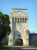 Druyes-les-Belles-Fontaines - Turmportal der mittelalterlichen Burg von Druyes